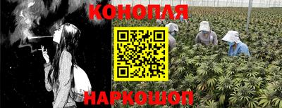 прущие грибы Белорецк