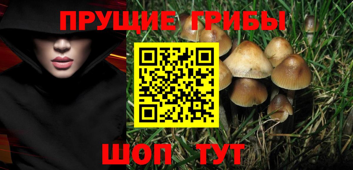 Галлюциногенные грибы мухоморы Иваново