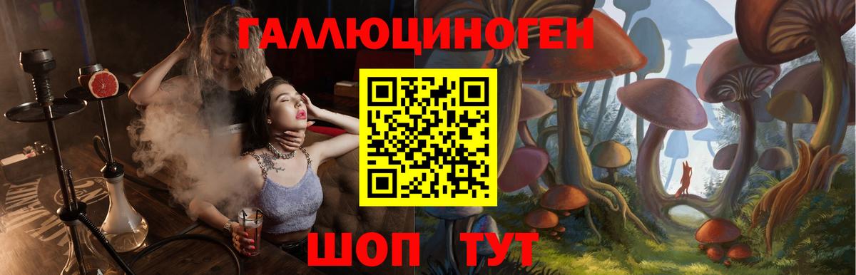 Галлюциногенные грибы Cubensis  Галлюциногенные грибы MAGIC MUSHROOMS  Вход с VPN  Иваново 